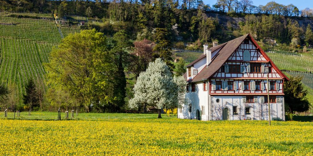 header_Trüeterhof.jpg