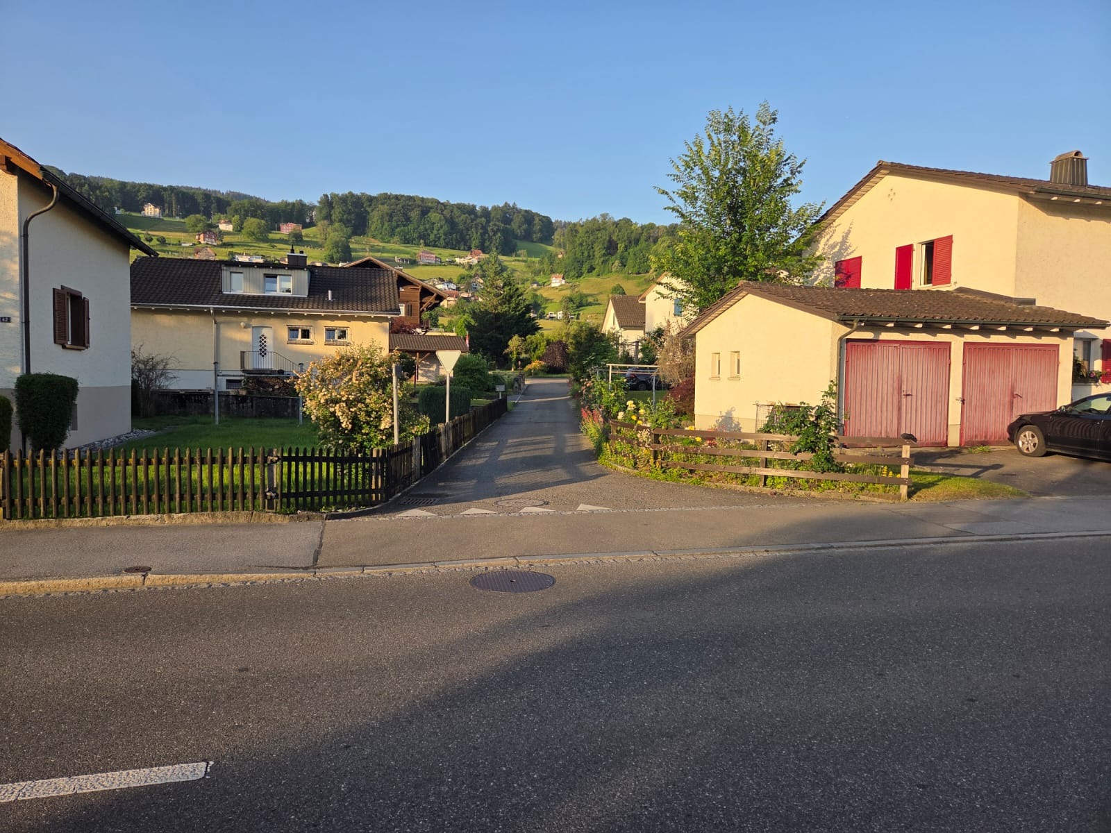 Umfangreiche Werkleitungsarbeiten Rheineckerstrasse und Bürgli