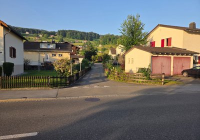 Umfangreiche Werkleitungsarbeiten Rheineckerstrasse und Bürgli
