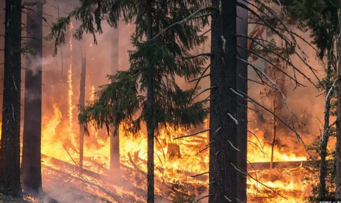 Grosse Waldbrandgefahr in weiten Teilen des Kantons!