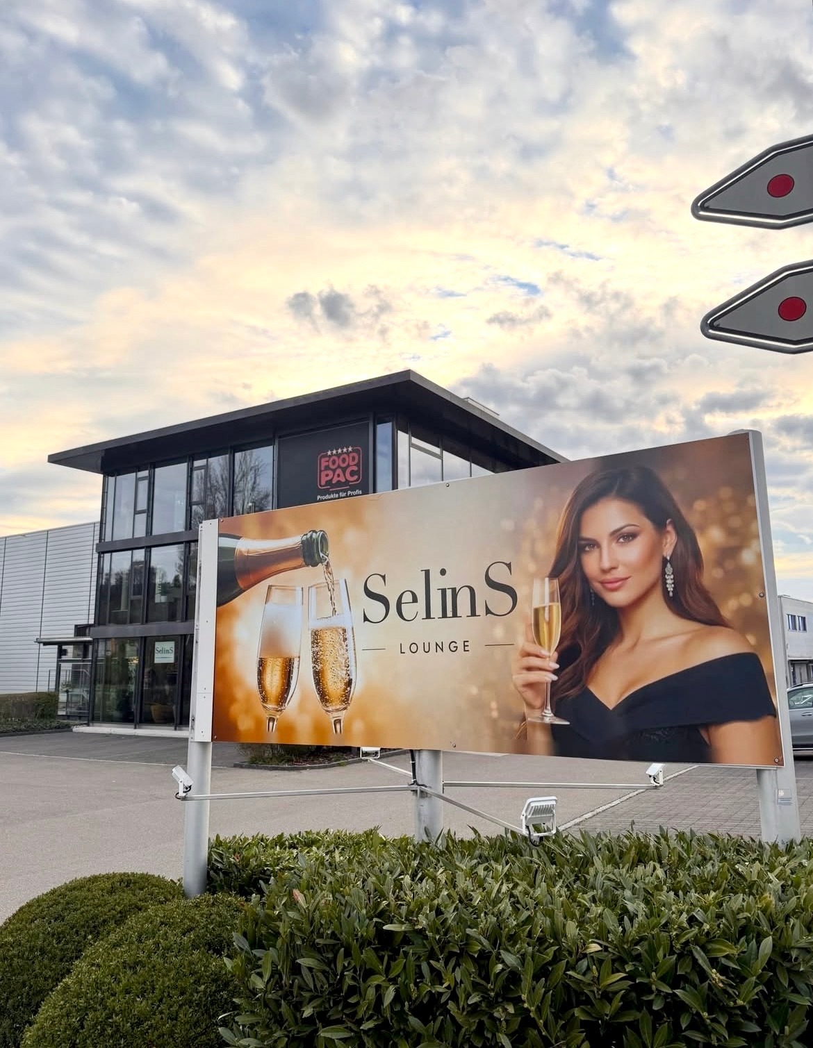 Selins3.jpg