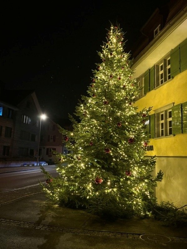 Christbaum.jpg